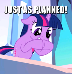 Size: 577x592 | Tagged: safe, edit, edited screencap, screencap, twilight sparkle, pony, g4, the crystal empire, caption, cropped, female, image macro, just as planned, meme, solo, text