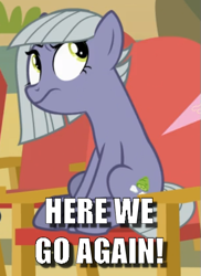 Size: 393x540 | Tagged: safe, edit, edited screencap, screencap, limestone pie, earth pony, pony, g4, rock solid friendship, annoyed, caption, cropped, female, here we go again, image macro, limestone pie is not amused, meme, solo, text
