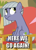 Size: 393x540 | Tagged: safe, edit, edited screencap, screencap, limestone pie, pony, g4, rock solid friendship, annoyed, caption, cropped, female, here we go again, image macro, limestone pie is not amused, meme, solo, text