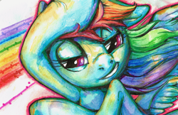 Size: 2976x1930 | Tagged: safe, artist:buttercupsaiyan, rainbow dash, pegasus, pony, g4, bust, female, lidded eyes, mare, portrait, solo, watercolor painting, windswept mane