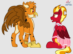 Size: 1800x1334 | Tagged: safe, artist:peregrinstaraptor, oc, oc only, oc:gareth, oc:sunfyre, griffon, pegasus, pony, cheerleader outfit, clothes, crossdressing, gray background, male, simple background, stallion, story included