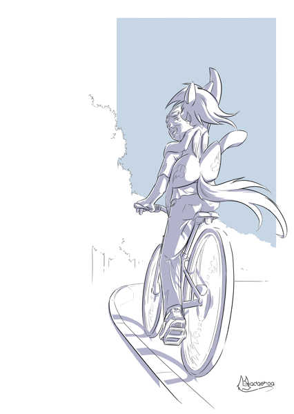 rainbow dash bicycle