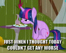 Size: 521x426 | Tagged: safe, edit, edited screencap, screencap, twilight sparkle, unicorn, g4, the ticket master, annoyed, bad day, caption, cropped, daffodil and daisy sandwich, food, grumpy, image macro, meme, mushroom table, rain, sandwich, sitting, solo, text, unicorn twilight, wet mane