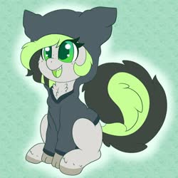 Size: 898x898 | Tagged: safe, artist:pegamutt, oc, oc only, oc:bree jetpaw, pegasus, pony, clothes, cute, freckles, green background, green eyes, hoodie, jacket, ocbetes, open mouth, simple background, solo, this will end in cuddles, weapons-grade cute