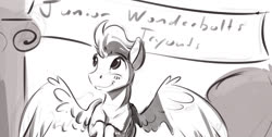 Size: 1808x910 | Tagged: safe, artist:kam, soarin', pegasus, pony, g4, banner, blushing, cloudsdale, cute, grayscale, grin, male, monochrome, smiling, solo, spread wings, stallion, wings, younger