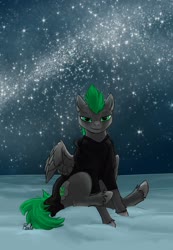 Size: 1498x2160 | Tagged: safe, artist:riala, oc, oc only, pegasus, pony, clothes, looking at you, male, pegasus oc, solo, stallion, wings