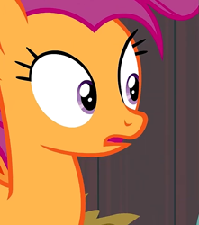 Size: 637x720 | Tagged: safe, screencap, scootaloo, pegasus, pony, g4, growing up is hard to do, close-up, cropped, eyelashes, female, looking at someone, looking at something, mare, older, older scootaloo, open mouth, purple eyes, reaction image, solo, wide eyes