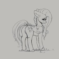 Size: 4000x4000 | Tagged: safe, artist:miokomata, fluttershy, pegasus, pony, g4, butt, chest fluff, dock, featureless crotch, female, freckles, freckleshy, looking at you, looking back, looking back at you, mare, monochrome, plot, rear view, simple background, sketch