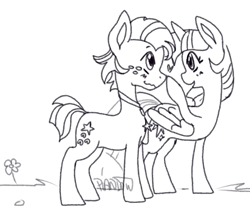 Size: 1113x974 | Tagged: safe, artist:piandow, star tracker, twilight sparkle, alicorn, earth pony, pony, g4, blushing, boop, cute, female, flower, heart, male, mare, monochrome, open mouth, ship:twitracker, shipping, stallion, straight, twilight sparkle (alicorn)