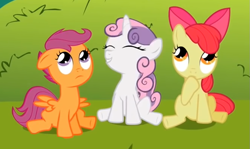 Size: 839x501 | Tagged: safe, screencap, apple bloom, scootaloo, sweetie belle, earth pony, pony, g4, lesson zero, adorabloom, cute, cutealoo, cutie mark crusaders, diasweetes