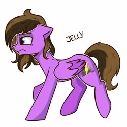 Size: 4000x4000 | Tagged: safe, artist:jellysketch, oc, oc only, pegasus, pony, simple background, solo