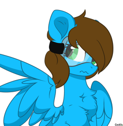 Size: 2908x2980 | Tagged: safe, artist:kawaiizhele, oc, oc only, oc:blue scroll, pegasus, pony, female, high res, rule 63, safety goggles