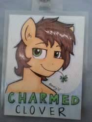 Size: 768x1024 | Tagged: safe, artist:bravelyart, oc, oc:charmed clover, earth pony, pony, bust, clover, flower, flower in mouth, four leaf clover, irl, male, mouth hold, name tag, photo, smiling, stallion, traditional art