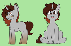 Size: 2400x1554 | Tagged: safe, artist:galaxysquid, oc, oc only, oc:shruggy, pony, unicorn, clean, dirty, reference sheet, solo