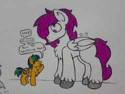 Size: 2576x1932 | Tagged: safe, artist:drheartdoodles, oc, oc only, oc:apogee, oc:dr.heart, clydesdale, pegasus, pony, chest fluff, coloring, dialogue, female, filly, male, o3o, simple background, size difference, smiling, stallion, traditional art