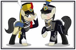 Size: 1024x683 | Tagged: safe, artist:brony-works, earth pony, clothes, female, hussar, male, mare, simple background, stallion, sweden, uniform, white background