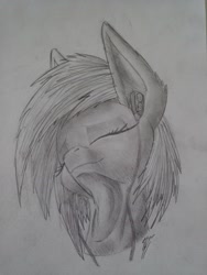 Size: 3456x4608 | Tagged: safe, artist:darky_wings, oc, oc:darky wings, pegasus, pony, black and white, eyes closed, grayscale, headphones, listening, monochrome, smiling, traditional art