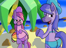 Size: 792x576 | Tagged: safe, artist:pembroke, kelpie, anthro, unguligrade anthro, ass, barely pony related, beach, beach ball, bramble (ducktales), briar (ducktales), butt, crossover, ducktales, ducktales 2017, duo, duo female, female, hat, mare