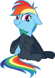 Size: 2028x2840 | Tagged: safe, artist:midnite99, rainbow dash, pony, read it and weep, clothes, female, hoodie, simple background, smiling, smirk, solo, transparent background, vector