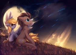 Size: 2362x1692 | Tagged: safe, artist:mirtash, derpy hooves, doctor whooves, time turner, earth pony, pegasus, pony, aurora borealis, chest fluff, doctorderpy, female, floppy ears, male, mare, moon, night, shipping, shooting star, sitting, stallion, straight