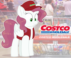 Size: 1647x1343 | Tagged: safe, artist:rainbow eevee, oc, oc only, human, pegasus, pony, cap, clothes, costco, eyelashes, female, folded wings, green eyes, hat, irl, irl human, looking down, photo, ponified, solo, store, vest, wavy hair, wide eyes, wings