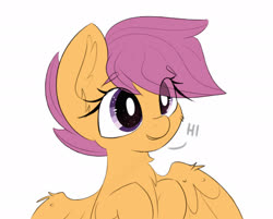 Size: 2391x1920 | Tagged: safe, artist:janelearts, scootaloo, pegasus, pony, g4, chest fluff, cute, cutealoo, ear fluff, eye clipping through hair, eyebrows, eyebrows visible through hair, female, filly, neck fluff, simple background, sketch, solo, spread wings, white background, wings