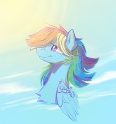 Size: 898x961 | Tagged: safe, artist:iridescentadopt, rainbow dash, pegasus, pony, g4, bust, cloud, female, folded wings, mare, sky, smiling, solo, sun, wings
