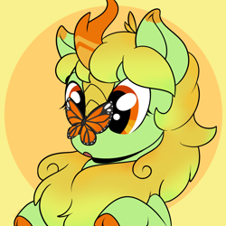 Size: 1000x1000 | Tagged: safe, artist:housho, oc, oc only, oc:lemongrass, butterfly, kirin, butterfly on nose, cute, female, insect on nose, kirin oc, mare, ocbetes, simple background, solo