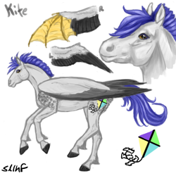 Size: 600x600 | Tagged: safe, artist:sdlhf, oc, oc only, oc:kite, pegasus, pony, artificial wings, augmented, bio in description, hoers, male, missing limb, missing wing, offspring, parent:rarity, parent:thunderlane, parents:rarilane, realistic, reference sheet, simple background, solo, stallion, white background, wings
