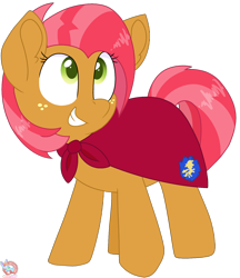 Size: 1408x1633 | Tagged: safe, artist:rainbow eevee, babs seed, earth pony, pony, g4, adorababs, apple family member, cape, clothes, cousin, cute, cutie mark crusaders patch, fantasy class, female, filly, freckles, green eyes, knight, looking up, paladin, simple background, smiling, solo, transparent background, vector, warrior