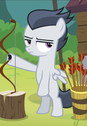 Size: 610x883 | Tagged: safe, screencap, rumble, pony, g4, marks and recreation, archery, arrow, bipedal, bow, cropped, disinterested, lidded eyes, male, solo