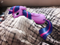 Size: 4032x3024 | Tagged: safe, artist:sheeppony, twilight sparkle, alicorn, pony, g4, bed, behaving like a cat, cute, female, floppy ears, irl, looking at you, mare, one eye closed, photo, ponies in real life, solo, twiabetes, twilight cat, twilight sparkle (alicorn)