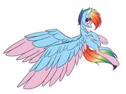 Size: 1280x958 | Tagged: safe, artist:donnie-moon, rainbow dash, pegasus, pony, g4, female, flying, mare, simple background, solo, spread wings, two toned wings, white background, wings