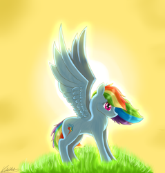 Size: 1100x1150 | Tagged: safe, artist:tory-the-fuzzball, rainbow dash, pegasus, pony, g4, backwards cutie mark, female, grass, mare, sky, solo, spread wings, sun, wings