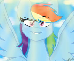 Size: 844x700 | Tagged: safe, artist:sirena-flitter, rainbow dash, pegasus, pony, g4, female, solo