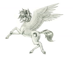 Size: 1400x1098 | Tagged: safe, artist:baron engel, oc, oc only, oc:caldera, pegasus, pony, butt, female, goggles, grayscale, mare, monochrome, pencil drawing, plot, simple background, solo, traditional art, white background