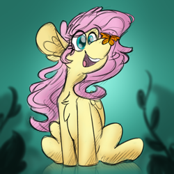 Size: 2500x2500 | Tagged: safe, artist:antimationyt, fluttershy, butterfly, pegasus, pony, g4, butterfly on nose, chest fluff, cross-eyed, ear fluff, female, folded wings, high res, insect on nose, looking at something, mare, open mouth, sitting, smiling, solo, wings