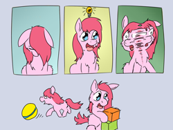Size: 2048x1536 | Tagged: safe, artist:fluffsplosion, oc, oc only, fluffy pony, asexual reproduction, comic, mitosis, self ponidox, weirdbox