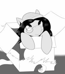 Size: 1119x1280 | Tagged: safe, artist:helixjack, oc, oc only, earth pony, pony, box, earth pony oc, glasses, grayscale, hat, looking up, monochrome, pony in a box, solo