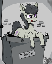 Size: 3378x4134 | Tagged: safe, artist:paskanaakka, derpibooru exclusive, octavia melody, earth pony, pony, g4, angry, chest fluff, ear fluff, female, mare, messy mane, solo, trash can