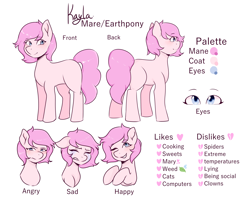 Size: 5000x4000 | Tagged: safe, oc, oc only, oc:kayla, earth pony, pony, angry, crying, female, happy, mare, reference sheet, sad, simple background, solo, white background