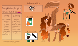 Size: 3147x1846 | Tagged: safe, artist:moonwolf96, oc, oc only, oc:pumpkin maple spice, pegasus, pony, apron, clothes, female, high res, mare, reference sheet, solo, two toned wings, wings