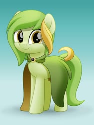 Size: 800x1064 | Tagged: safe, artist:jhayarr23, oc, oc only, oc:dust wind, earth pony, pony, cloak, clothes, cute, male, solo, stallion