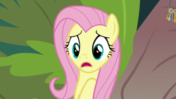 Size: 1920x1080 | Tagged: safe, screencap, fluttershy, pegasus, pony, g4, she talks to angel, female, key, open mouth, solo, tree, worried