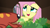 Size: 1920x1080 | Tagged: safe, screencap, fluttershy, fire lizard, gecko, lizard, pony, g4, she talks to angel, female, mare