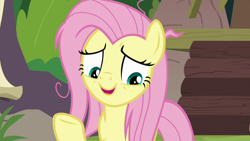 Size: 1920x1080 | Tagged: safe, screencap, fluttershy, pegasus, pony, g4, she talks to angel, female, mare, messy mane, solo