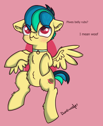 Size: 1280x1555 | Tagged: safe, artist:dumbwoofer, oc, oc only, oc:apogee, pegasus, pony, :3, behaving like a dog, belly fluff, bellyrubs, blushing, chest fluff, collar, collar ring, cute, diageetes, ear fluff, eye clipping through hair, female, filly, freckles, leg fluff, looking up, ocbetes, pegasus oc, pet play, pink background, pony pet, signature, simple background, smiling, solo, wings, woof