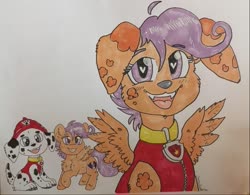 Size: 961x751 | Tagged: safe, artist:chibichangeling, derpibooru exclusive, scootaloo, dalmatian, dog, pegasus, pony, g4, character to character, collar, commission, cute, heart eyes, male to female, marshall (paw patrol), paw patrol, rule 63, rule63betes, simple background, traditional art, transformation, transgender transformation, wingding eyes, winged dog