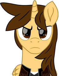 Size: 5897x7174 | Tagged: safe, artist:ejlightning007arts, oc, oc only, oc:ej, alicorn, pony, absurd resolution, alicorn oc, clothes, horn, looking at you, male, serious, serious face, simple background, solo, stallion, transparent background, vector