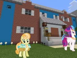 Size: 2048x1536 | Tagged: safe, artist:breadking, artist:topsangtheman, junebug, queen novo, classical hippogriff, earth pony, hippogriff, pony, g4, my little pony: the movie, basket, daisy (flower), house, looking at you, minecraft, photoshopped into minecraft